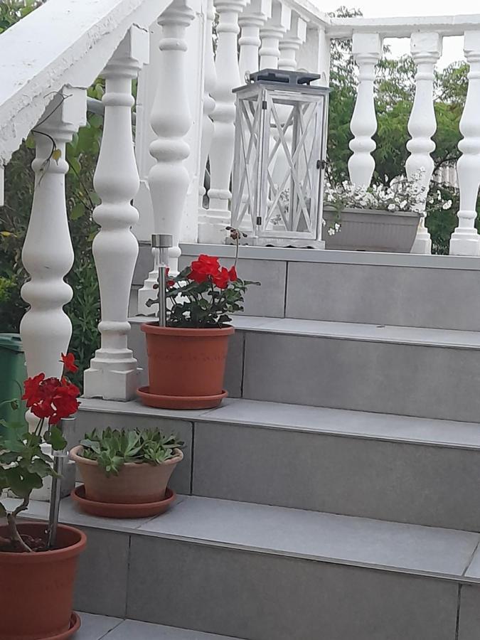 Apartment Bicanic Vir Zewnętrze zdjęcie